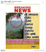 Free download neluwa_greenary free photo or picture to be edited with GIMP online image editor