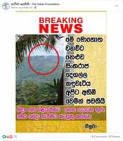 Free download neluwa_greenary_sinharaja free photo or picture to be edited with GIMP online image editor
