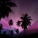Neon Palm Trees at Night  screen for extension Chrome web store in OffiDocs Chromium
