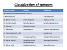 ດາວໂຫຼດຟຣີ neoplasia-characteristics-and-classification-of-cancer-20-638 ຮູບພາບຫຼືຮູບພາບທີ່ບໍ່ເສຍຄ່າເພື່ອແກ້ໄຂດ້ວຍຕົວແກ້ໄຂຮູບພາບອອນໄລນ໌ GIMP