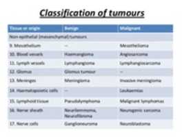 Libreng pag-download ng neoplasia-characteristics-and-classification-of-cancer-20-638 libreng larawan o larawan na ie-edit gamit ang GIMP online image editor