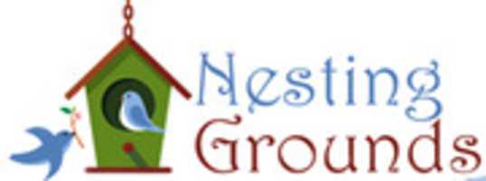 Free download Nesting Grounds free photo or picture to be edited with GIMP online image editor