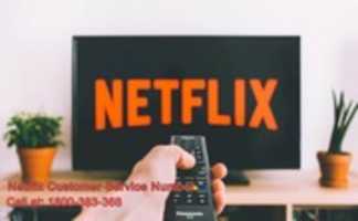 Muat turun percuma Nombor Sokongan Netflix foto atau gambar percuma untuk diedit dengan editor imej dalam talian GIMP