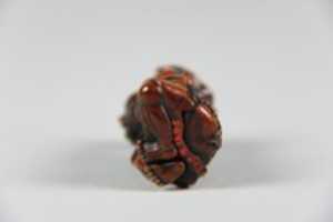 Free download Netsuke of The Daoist Immortal, Gama Sennin with Frog free photo or picture to be edited with GIMP online image editor