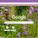 Nettle leaved Bellflower  screen for extension Chrome web store in OffiDocs Chromium