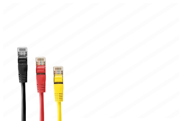 Free download network cable cable plug patch free picture to be edited with GIMP free online image editor