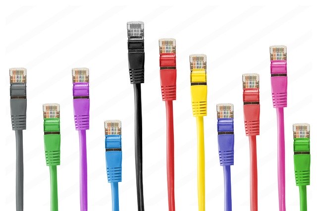Kostenloser Download Netzwerkkabel Netzwerkstecker Kabel Kostenloses Bild, das mit dem kostenlosen Online-Bildeditor GIMP bearbeitet werden kann