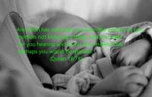 Free picture New Born to be edited by GIMP online free image editor by OffiDocs