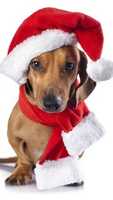 Free download NewChrism free photo or picture to be edited with GIMP online image editor