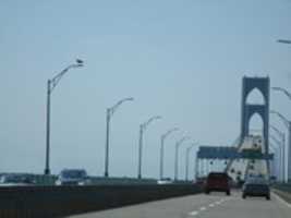 Free download Newport Bridge with a Seagull free photo or picture to be edited with GIMP online image editor