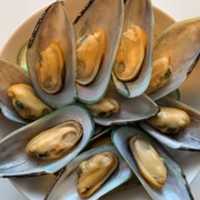 Unduh gratis New Zealand Greenshell Mussels foto atau gambar gratis untuk diedit dengan editor gambar online GIMP