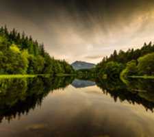 Free download Nexus 6 free photo or picture to be edited with GIMP online image editor