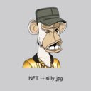 NFT to silly jpeg  screen for extension Chrome web store in OffiDocs Chromium