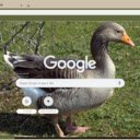 Ngong  screen for extension Chrome web store in OffiDocs Chromium
