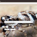 Nhen Nhay  screen for extension Chrome web store in OffiDocs Chromium