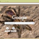 Nhen Rung  screen for extension Chrome web store in OffiDocs Chromium