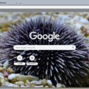 Nhim Bien  screen for extension Chrome web store in OffiDocs Chromium