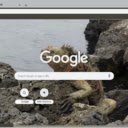 Nhong da  screen for extension Chrome web store in OffiDocs Chromium