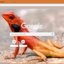 Nhong do  screen for extension Chrome web store in OffiDocs Chromium