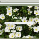Nierembergia  screen for extension Chrome web store in OffiDocs Chromium