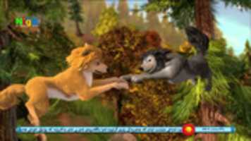 Free download Niga Kids HD( 19700227 082617). TS Snapshot 00.00.03.296 free photo or picture to be edited with GIMP online image editor