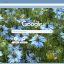 Nigella  screen for extension Chrome web store in OffiDocs Chromium