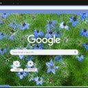 Nigella Damascena  screen for extension Chrome web store in OffiDocs Chromium