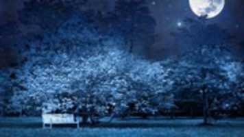 Free download night_bench_park_trees_stars_full_moon_sky_light_darkness_62340_3840x2160 free photo or picture to be edited with GIMP online image editor