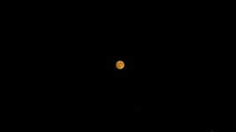Free download Night Full Moon Golden -  free video to be edited with OpenShot online video editor