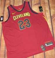 Free download Nike Cleveland Cavaliers Lebron James Icon Jersey free photo or picture to be edited with GIMP online image editor
