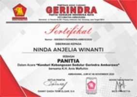 免费下载 NINDA ANJELIA WINANTI[ 1] 免费照片或图片，使用 GIMP 在线图像编辑器进行编辑