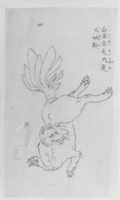 Free download Nine-Tailed Golden Fox free photo or picture to be edited with GIMP online image editor