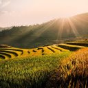 Nine terraced fields  screen for extension Chrome web store in OffiDocs Chromium