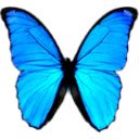 Вспомогательный экран nnm club seed для расширения Интернет-магазина Chrome в OffiDocs Chromium