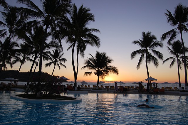 Free download nosy bee madagascar palms sunset free picture to be edited with GIMP free online image editor
