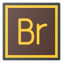 Notebook LM Source Getter  screen for extension Chrome web store in OffiDocs Chromium