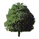 Noteman  screen for extension Chrome web store in OffiDocs Chromium