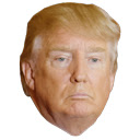 Not My President  screen for extension Chrome web store in OffiDocs Chromium