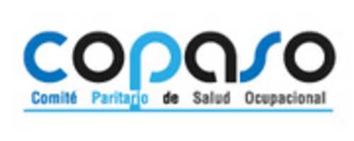 Free download Nuevo Logo Copaso 04 free photo or picture to be edited with GIMP online image editor