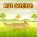 Nut Catcher  screen for extension Chrome web store in OffiDocs Chromium