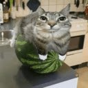 nWatermelonCat  screen for extension Chrome web store in OffiDocs Chromium