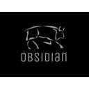 מסך כלי המפתחים Obsidian עבור הרחבה של חנות האינטרנט של Chrome ב-OffiDocs Chromium