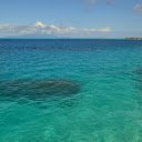 oceans and distant homes  screen for extension Chrome web store in OffiDocs Chromium