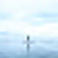 Free download Oceantail 30x30 free photo or picture to be edited with GIMP online image editor