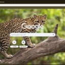 Ocelot  screen for extension Chrome web store in OffiDocs Chromium