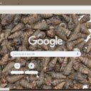 Oc Len  screen for extension Chrome web store in OffiDocs Chromium