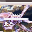 Octopus  screen for extension Chrome web store in OffiDocs Chromium