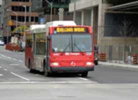 Free download OC Transpo 5101 free photo or picture to be edited with GIMP online image editor