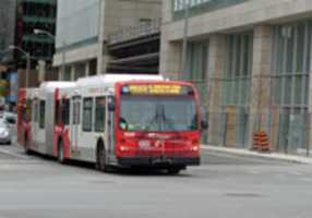 Free download OC Transpo 6597 free photo or picture to be edited with GIMP online image editor