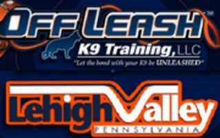 Free download Off Leash K9 Training Lehigh Valley free photo or picture to be edited with GIMP online image editor